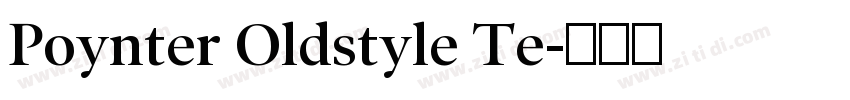 Poynter Oldstyle Te字体转换